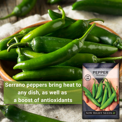 serrano peppers bring heat to any dish as well as a boost of antioxidants seeds