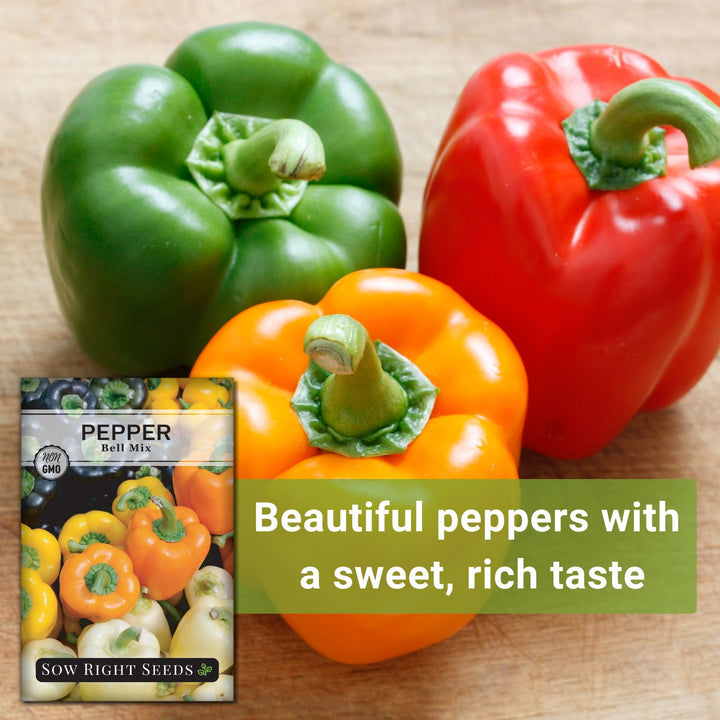plant seeds bell pepper maryland free shipping Bell Mix Pepper Seeds for Planting