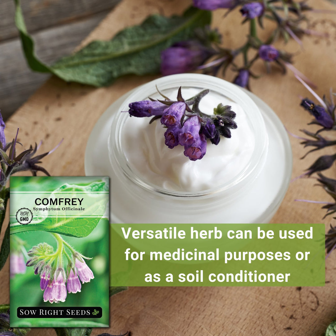 comfrey plant seeds Sow Right Seeds - Comfrey Seeds for Planting - Non-GMO Heirloom Packet with Instructions to Plant an Outdoor or Indoor Herb Garden