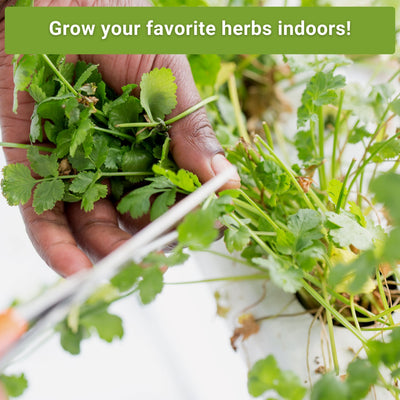 hydroponic herb seed collection grow your favorite herbs indoors