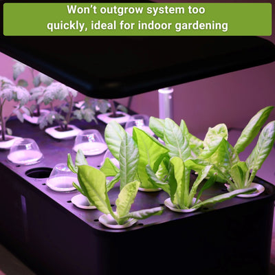 hydroponic vegetable seed collection won't outgrow system too quickly ideal for indoor gardening