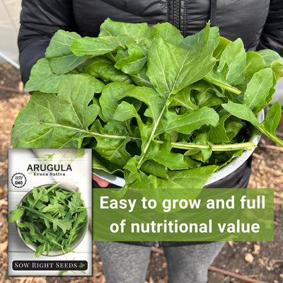 Arugula Seeds