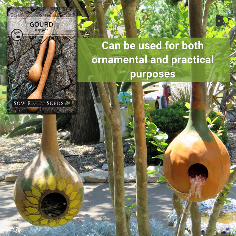 dipper gourd seeds can be used for both ornamental and practical purposes