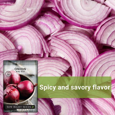 Ruby Red Onion