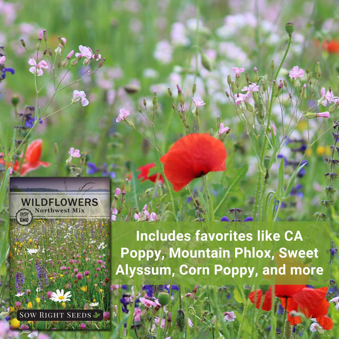 rolls of flower seeds Northwestern Mix Wildflower Seeds