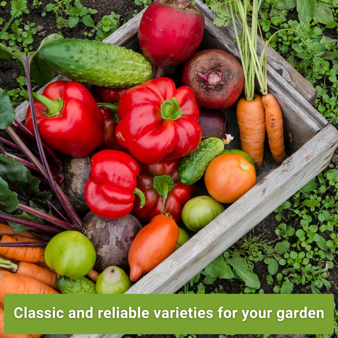 beginner vegetable garden seeds Classic Vegetable Garden Seed Collection