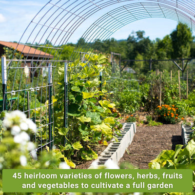 complete garden seed collection 45 heirloom varieties of flowers herbs fruits and vegetables to cultivate a full garden