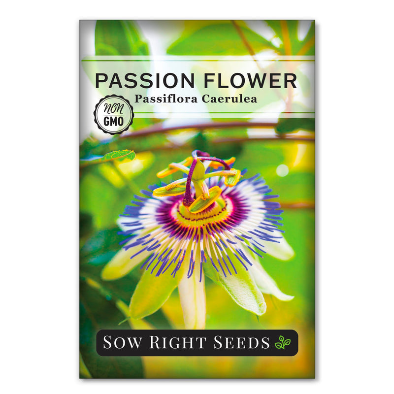 passion flower seed packet flowers sow right seeds