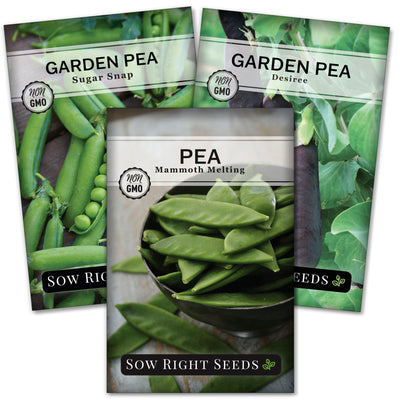 Garden Peas Collection