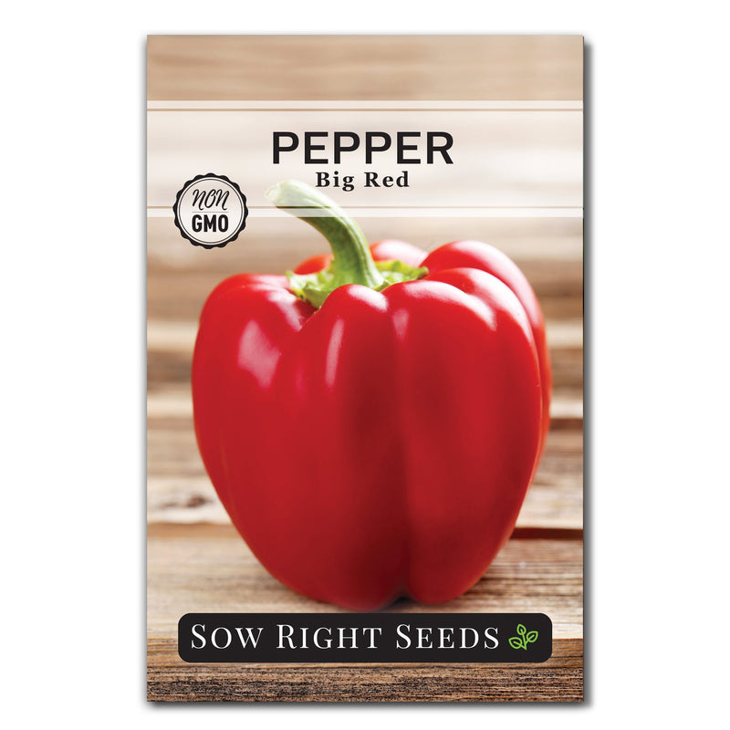 big red pepper seed packet vegetables sow right seeds