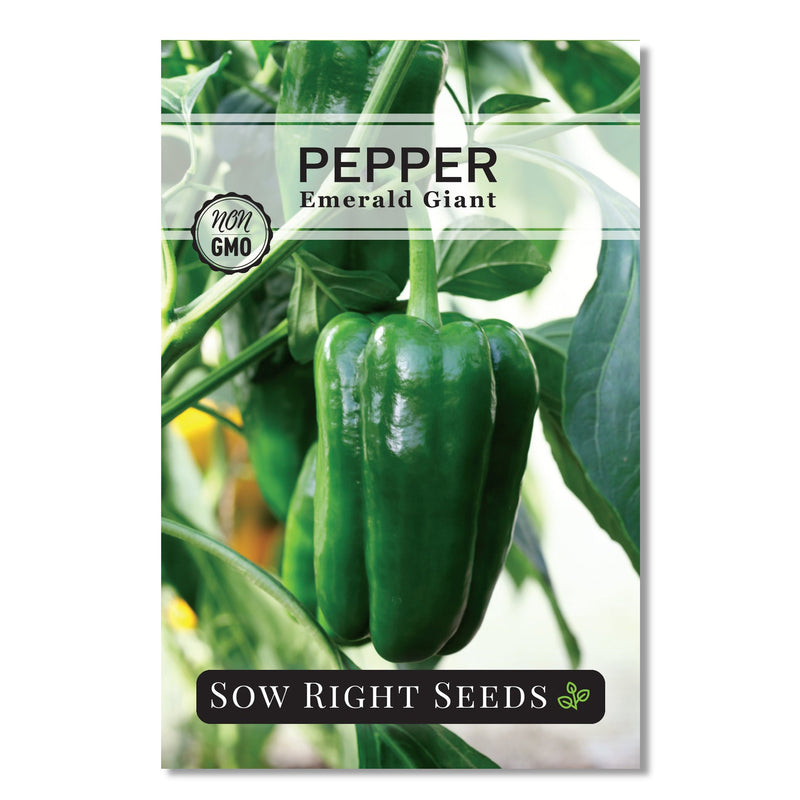 emerald giant pepper seed packet vegetables sow right seeds