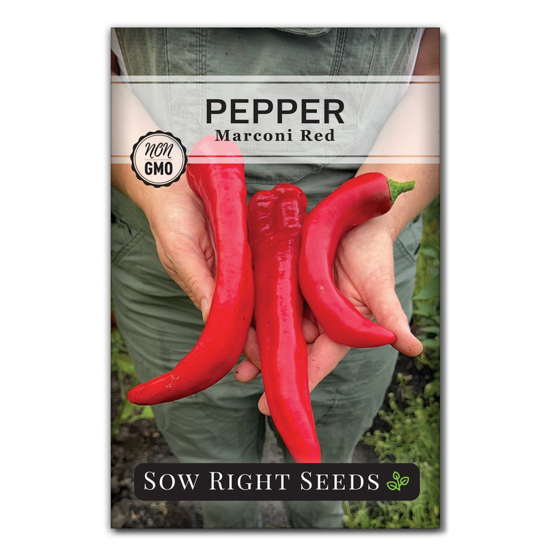 marconi red pepper seed packet vegetables sow right seeds