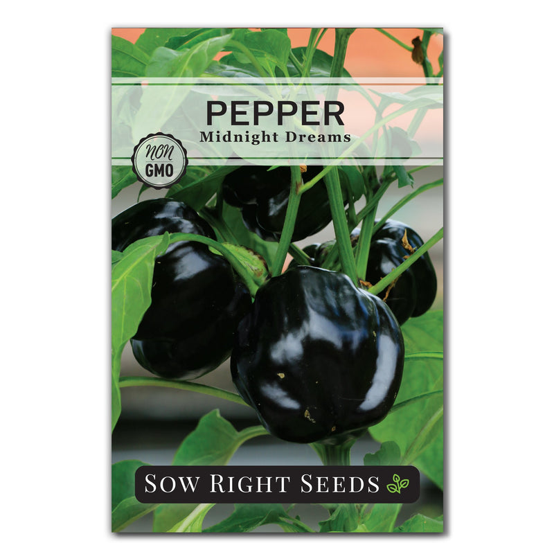 midnight dreams pepper seed packet vegetables sow right seeds