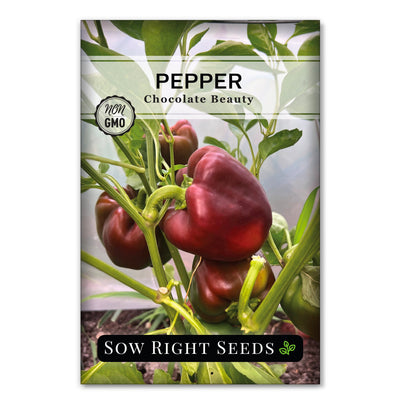 chocolate beauty pepper seed packet vegetables sow right seeds