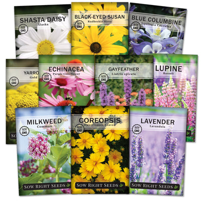 Perennial 10 Flower Collection