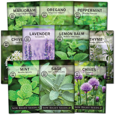 Perennial Herb Collection