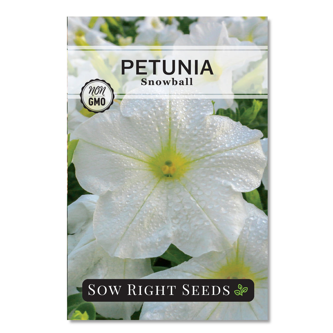 snowball flower seeds Snowball Petunia Seeds