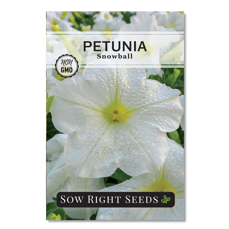 snowball petunia seed packet flowers sow right seeds