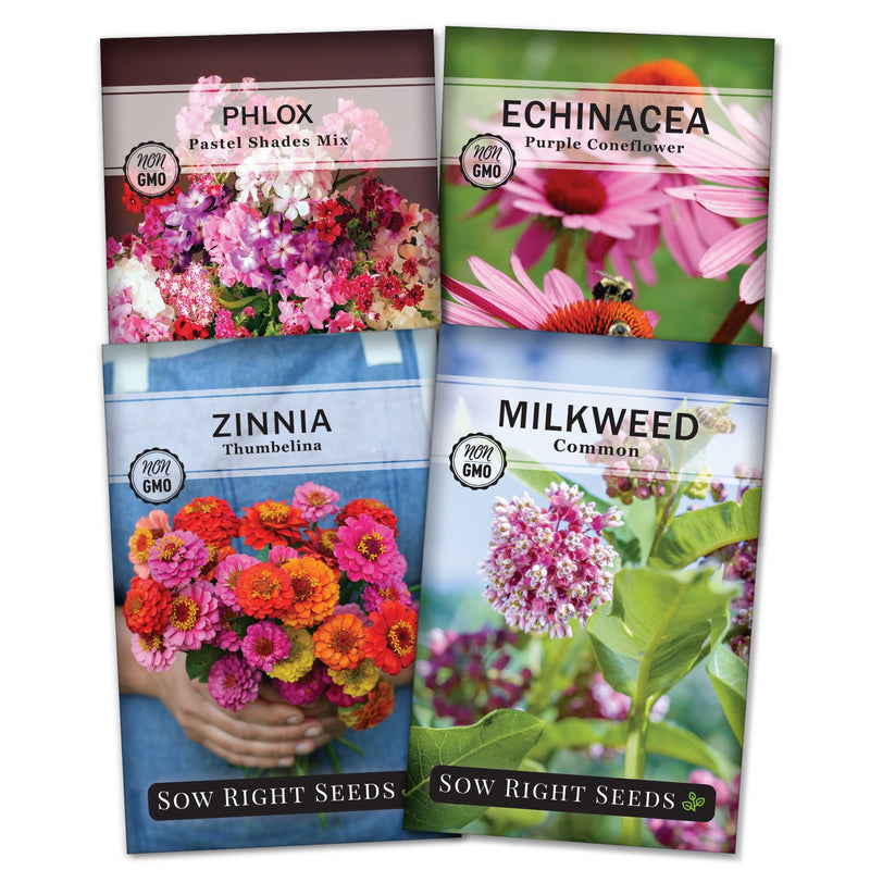 pollinator butterfly flower seed collection pastel shades mix phlox purple coneflower echinacea thumbelina zinnia common milkweed flowers sow right seeds