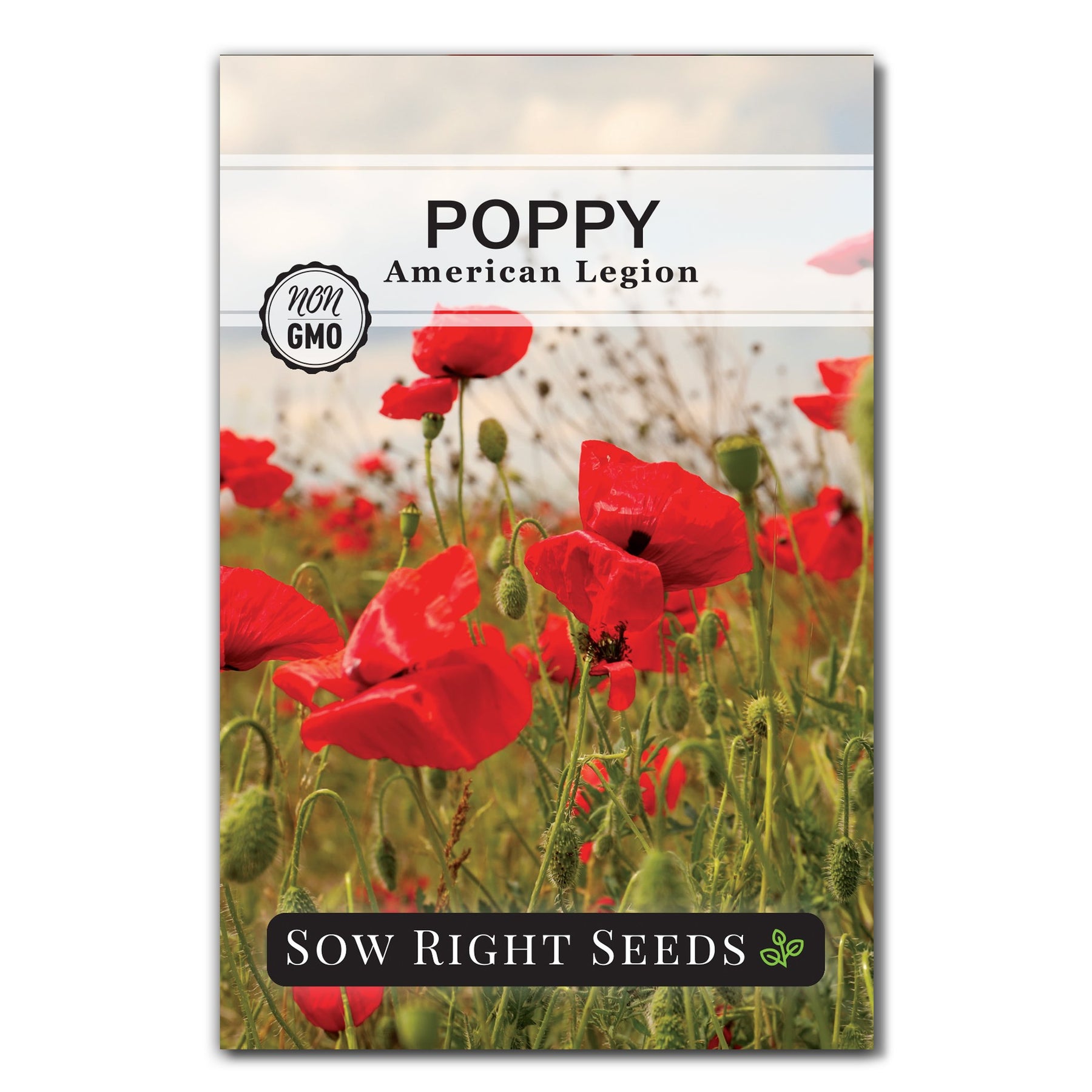 flower seeds poppy American Legion Poppy Seeds