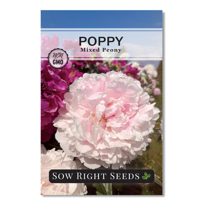 mixed peony poppy seed packet flowers sow right seeds