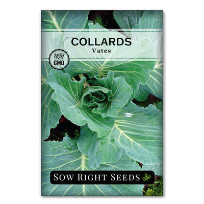 non-heading slow-bolting vegetable vates collards seeds for sale