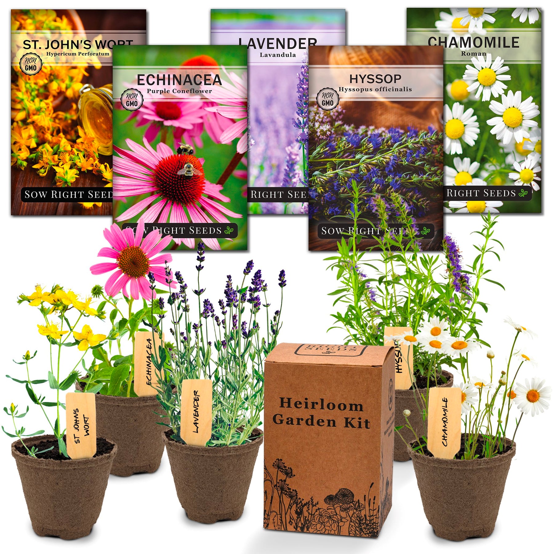 Medicinal Herb Garden Starter Kit  Grow Herbal Home Remedies – Sow Right  Seeds