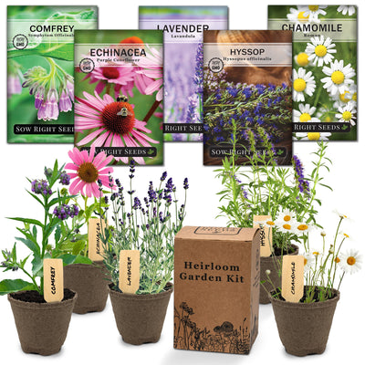 medicinal herb garden starter kit seed packets comfrey echinacea coneflower lavender hyssop chamomile herbs sow right seeds