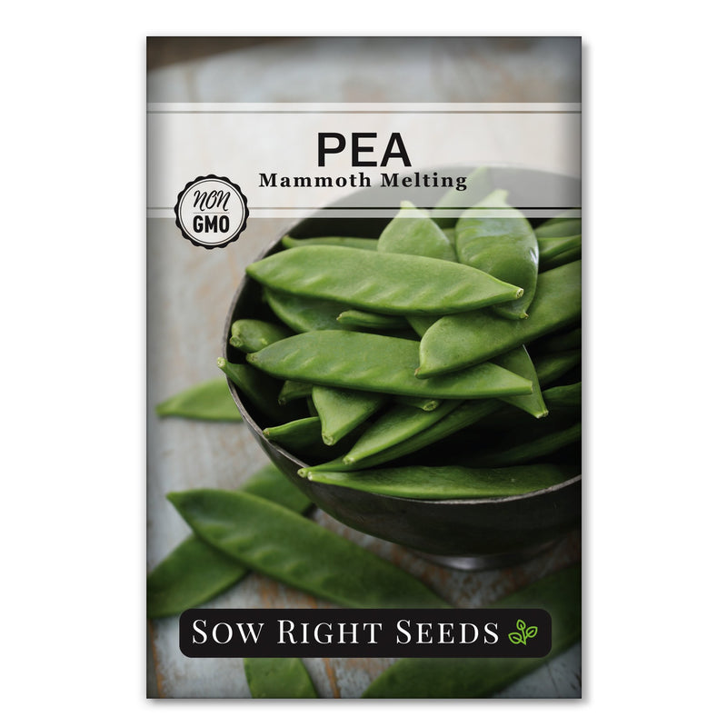 mammoth melting pea seed packet vegetable sow right seeds