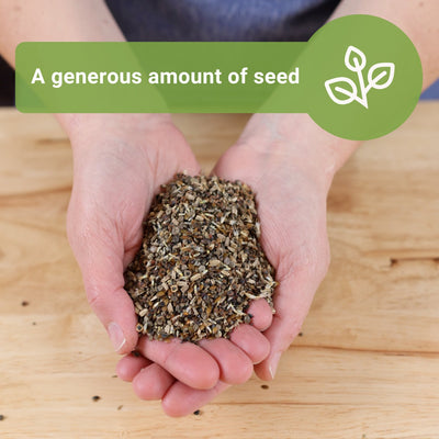 wildflowers mix bulk jumbo seeds a generous amount of seed