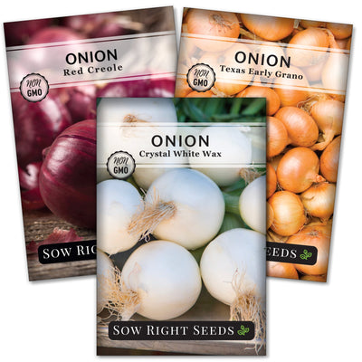 short day onion seed collection red creole crystal white wax texas early grano sow right seeds