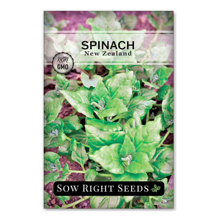 spinach seeds for planting New Zealand Spinach Seeds