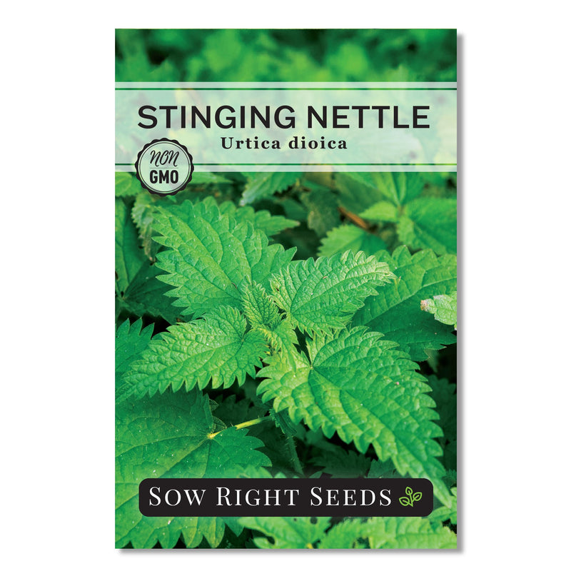 Stinging Nettle Seeds