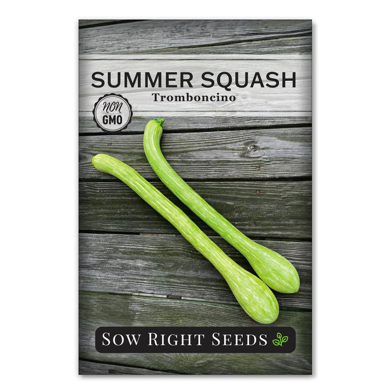 tromboncino rampicante summer squash seed packet sow right seeds