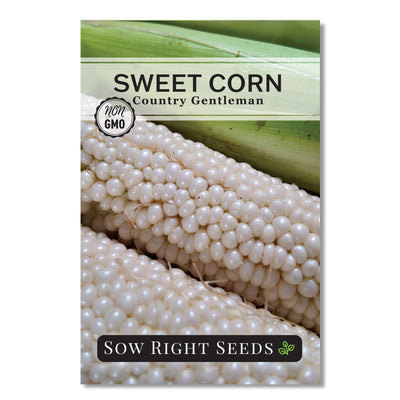 country gentleman sweet corn seed packet vegetables sow right seeds