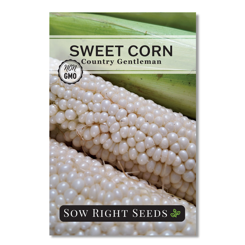 country gentleman sweet corn seed packet vegetables sow right seeds
