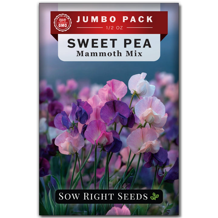 Mammoth Mix Sweet Pea Seeds for Planting