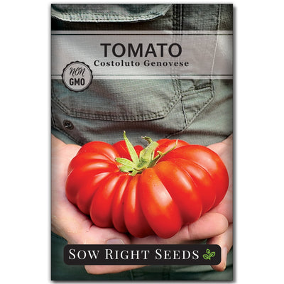 costoluto genovese tomato seeds vegetables sow right seeds