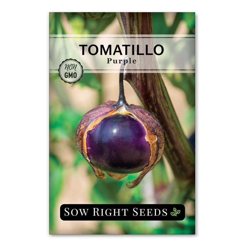 purple tomatillo seed packet sow right seeds