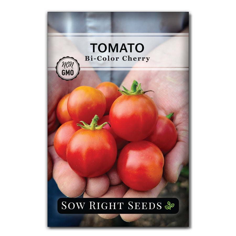 TomatoBiColorCherryFront_900x.
