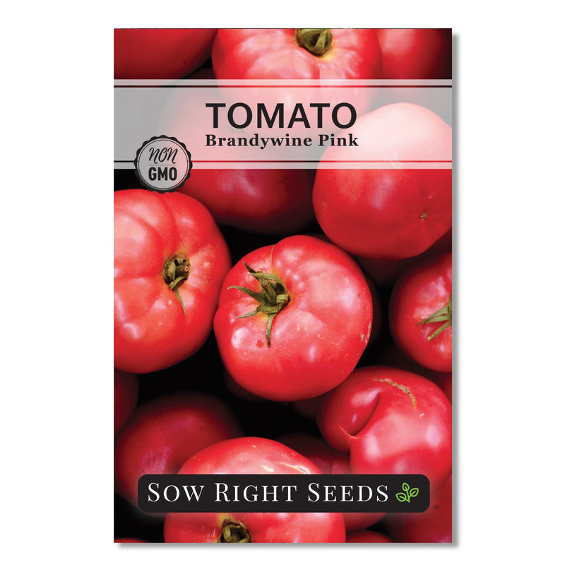 brandywine pink tomato seed packet vegetables sow right seeds