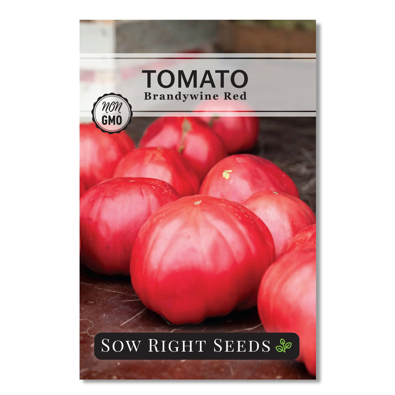 brandywine red tomato seed packet vegetables sow right seeds
