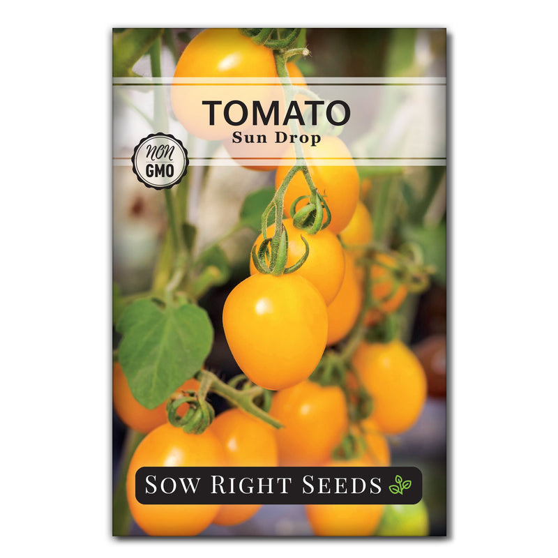 sun drop tomato seed packet vegetables sow right seeds