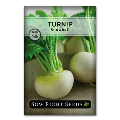 Turnips Collection