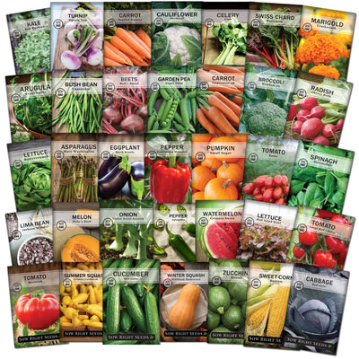 homesteaders collection seed kale turnip carrot cauliflower celery swiss chard marigold arugula bean beet pea broccoli radish lettuce asparagus eggplant pepper pumpkin tomato spinach melon onion pepper watermelon squash cucumber zucchini corn cabbage vegetables flowers sow right seeds