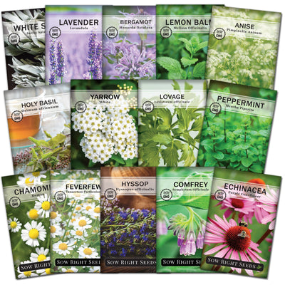 large medicinal herb seed collection white sage lavender bergamot lemon balm anise holy basil white yarrow lovage peppermint roman chamomile feverfew hyssop comfrey echinacea purple coneflower herbs sow right seeds