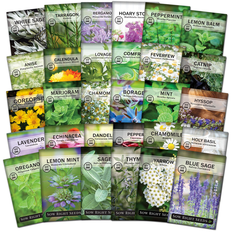 super medicinal herb collection seed packets white sage french tarragon bergamont dwarf mixed hoary stock peppermint lemon balm anise pacific beauty mixed calendula lovage comfrey feverfew catnip dwarf lance-leaved coreopsis majoram german chamomile borage mint hyssop lavender echinacea purple coneflower dandelion cayenne pepper roman chamomile holy basil oregano lemon mint sage thyme white yarrow blue sage sow right seeds