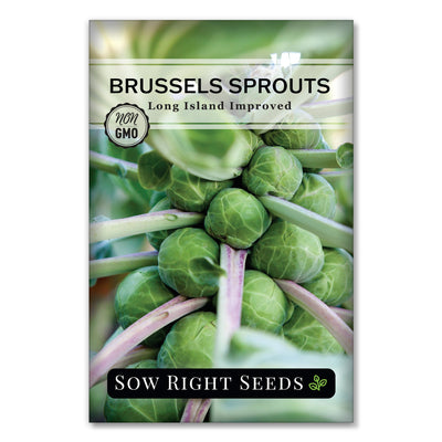 long island improved brussels sprouts seed packet