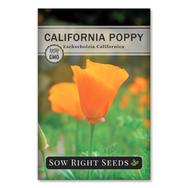 california poppy seeds