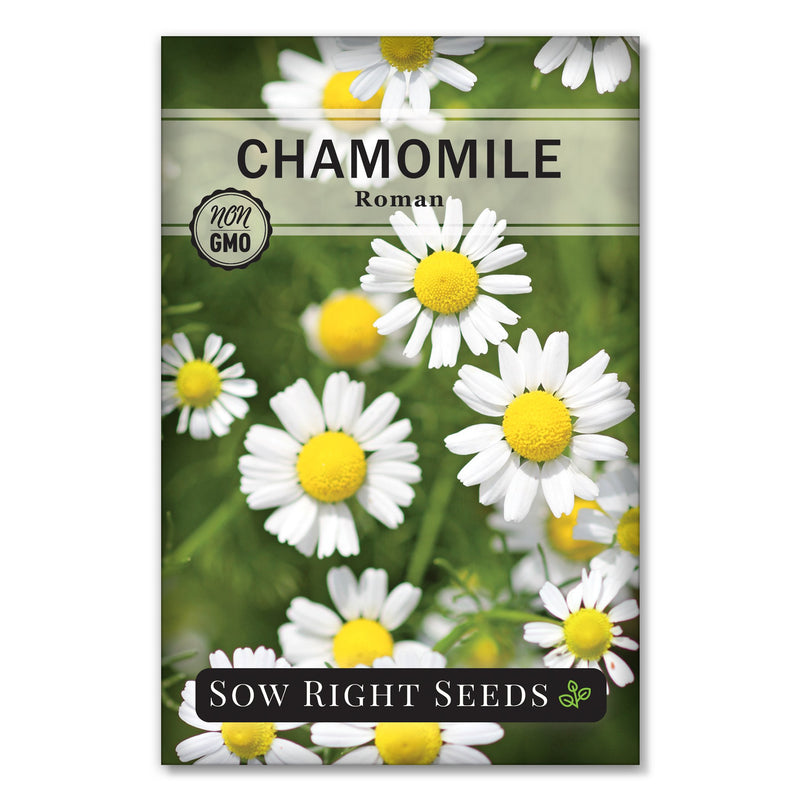 roman chamomile seed packet